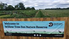 Start point this morning....Willow Tree Fen Nature Reserve, Tongue End