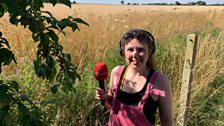 Anna was on the edge of the Broads to start this week's show