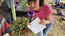 Julie had to hunt through the plants at the Nomad stage at the Harlequin Fayre at Bradmoor Woods