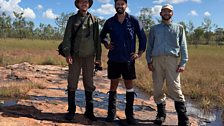 New species of carnivorous plants found in Western Australia