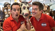 A moo-ving image of Dick & Dom