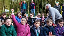 Little Green Fingers - Fairview Primary School - Gardeners’ Corner