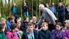 Little Green Fingers - Fairview Primary School - Gardeners’ Corner