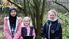 Little Green Fingers - Fairview Primary School - Gardeners’ Corner