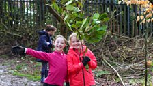 Little Green Fingers - Fairview Primary School - Gardeners’ Corner