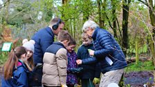 Little Green Fingers - Fairview Primary School - Gardeners’ Corner