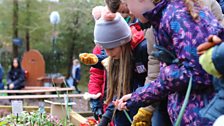 Little Green Fingers - Fairview Primary School - Gardeners’ Corner