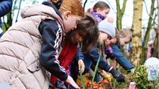 Little Green Fingers - Fairview Primary School - Gardeners’ Corner