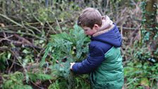 Little Green Fingers - Fairview Primary School - Gardeners’ Corner