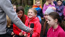 Little Green Fingers - Fairview Primary School - Gardeners’ Corner