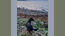 The Flaggy Shore in The Burren