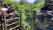 Wooden gate