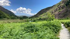 Approach Llyn Dinas