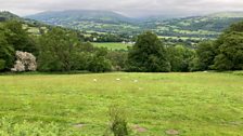 Valleys landscape