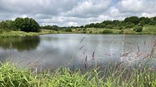 Parc Nant y Waun lake