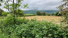 Landscape near Govilon