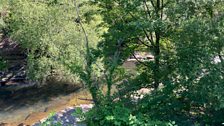 The River Rhondda