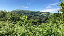 Views across the valley from Nantgawr