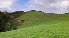 Grassy field near Devil's Bridge