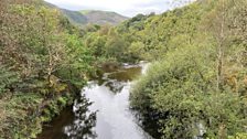 River Rheidol