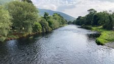 River Dee at Carrog