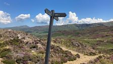 Sign post at the top