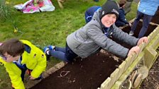 LGF - St Nicholas' Primary School - Ardglass