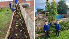 LGF - St Nicholas' Primary School - Ardglass