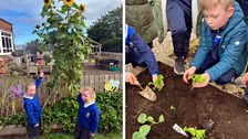 LGF - St Nicholas' Primary School - Ardglass