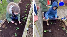 LGF - St Nicholas' Primary School - Ardglass