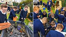 Ballyholland Primary School