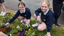 Ballyholland Primary School