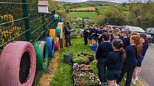 Ballyholland Primary School