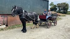 Off for a carriage drive.....