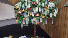 The team at Ulster University library ‘branch out and get creative’ with their very own Book Tree!