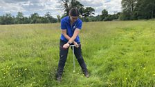 Looking at the soil profile