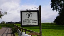 Cilwrgi Farm