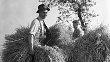 This Is My Farm (1945)