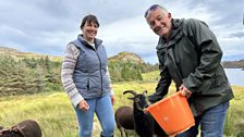 Izzy De Santis agus Daibhidh Bartles-Mac a' Ghobhainn, Croitearan