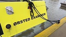 Orsted Examiner