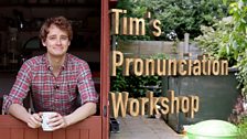 Tim's_pronunciation_workshop_01.jpg