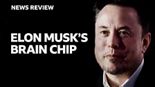 News Review Elon Musk brain chip