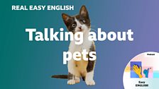 Talking about pets