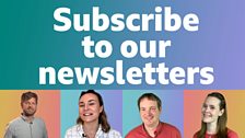 Subscribe to our newsletter white text on green background with 4 people, 2 men, 2 women