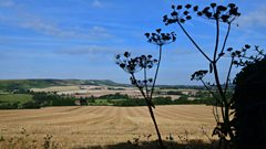 BBC Radio 4 - The Life Scientific, Patricia Wiltshire on how