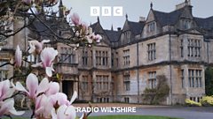 Secret Wiltshire