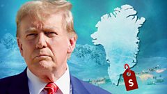 Is Greenland for Sale?