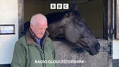 Listen: The Irish Cheltenham challenge