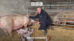 Farmer rescues piglets from barn fire