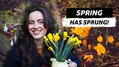 Spring Has Sprung!